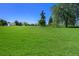 Expansive green field in a park setting, showcasing lush grass and scattered trees at 1144 N Ogden St # 304, Denver, CO 80218