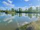 Scenic pond surrounded by lush trees, reflecting the clear blue sky and fluffy clouds at 11687 Newton St, Westminster, CO 80031