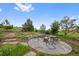 Charming outdoor fire pit area with stone patio and seating, perfect for relaxing evenings at 5608 Raintree Dr, Parker, CO 80134
