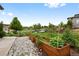 Landscaped front yard with raised garden beds and a variety of plants and shrubs at 5608 Raintree Dr, Parker, CO 80134