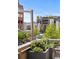 Cherry Creek North street view showcasing surrounding shops, restaurants, and lush trees, creating a vibrant urban atmosphere at 105 Fillmore St # 209, Denver, CO 80206