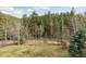 Picturesque backyard features mature trees and is surrounded by beautiful views at 1264 Beaver Brook Canyon Rd, Evergreen, CO 80439