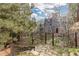 Secluded backyard featuring a wrought iron fence and stone pathway through the property at 1264 Beaver Brook Canyon Rd, Evergreen, CO 80439