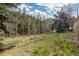 Expansive grassy yard surrounded by mature trees, offering a peaceful setting at 1264 Beaver Brook Canyon Rd, Evergreen, CO 80439