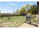 Large backyard features a lush lawn, mature trees, and inviting patio area with gas grill at 330 Johnson Dr, Castle Rock, CO 80104