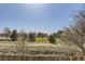 Back yard with trees in the distance at 4105 N Dunkirk Ct, Denver, CO 80249