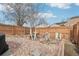 Fenced backyard with rock garden feature, decorative trees and stepping stones at 4314 Nepal St, Denver, CO 80249