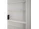 Classic white built-in bookshelves provide elegant storage, featuring adjustable shelves and ample space at 1050 N Clarkson St, Denver, CO 80218