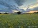 Beautiful home exterior at sunset with open field and cloudy sky, conveying peaceful rural living at 46531 Sundance Trl, Parker, CO 80138