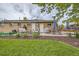 Spacious backyard with patio seating, an umbrella, a trampoline, mature trees, and lush landscaping at 6046 Vrain St, Arvada, CO 80003