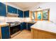 Stylish kitchen features blue cabinets, stainless steel appliances, and bright countertops at 1878 S Gilpin St, Denver, CO 80210