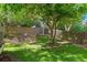 Lush backyard featuring a well-maintained lawn, mature trees, and a charming fenced perimeter at 20922 E Crestline Cir, Centennial, CO 80015