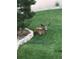Deer resting in the lush green yard at 555 Heritage Trl, Elizabeth, CO 80107