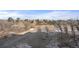 Picturesque view of a snowy landscape with a bridge, trees, and houses in the background at 5591 Canyon View Dr, Castle Rock, CO 80104