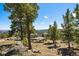 The property includes a lovely viewing deck surrounded by lush mature trees at 5197 Bear Mountain Dr, Evergreen, CO 80439