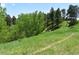Lush green backyard with a grassy path, perfect for enjoying nature and outdoor activities at 783 Calgary Way, Golden, CO 80401
