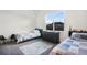 Shared bedroom featuring twin beds, soft carpet, and a window with a view of the neighborhood at 875 Coal Bank Trl, Castle Rock, CO 80104