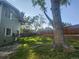 Back yard featuring an imposing tree and an expansive lawn at 6207 W 92Nd Pl, Westminster, CO 80031