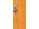 Close up of a wood door with a silver colored knocker and the number 507 at 5955 E 10Th Ave # 507, Denver, CO 80220