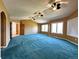 Bright living room showcasing a blue carpet, multiple ceiling fans, and a connecting hallway at 8461 Pawnee Ln, Niwot, CO 80503