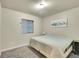 Bright bedroom featuring a large window, soft carpet, and a modern, minimalist aesthetic at 6829 Juniper Ct, Frederick, CO 80530