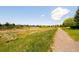 Scenic community view with a path and open green spaces, perfect for outdoor activities at 19595 Mitchell Dr, Denver, CO 80249