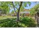 Well-maintained backyard with mature trees and fenced area at 1844 S Pontiac Way, Denver, CO 80224