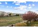 Beautiful view of the neighborhood with walking paths, green spaces and blooming trees at 1983 Candleglow St, Castle Rock, CO 80109