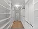 Large walk-in closet with custom shelving, perfect for organized storage and maximizing space at 1983 Candleglow St, Castle Rock, CO 80109