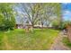 Expansive backyard with lush lawn, mature trees, patio, and playground, creating a serene and playful outdoor space at 7034 S Cherry St, Centennial, CO 80122
