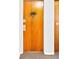 Apartment front door in warm brown wood adorned with a modern planter and updated hardware at 1160 Birch St # 22, Denver, CO 80220