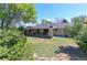 Expansive backyard featuring mature trees, a covered patio, and a well-maintained lawn at 3375 Zephyr Ct, Wheat Ridge, CO 80033