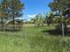 This beautiful property features an expansive green backyard with mature trees and views of the community at 3375 Zephyr Ct, Wheat Ridge, CO 80033