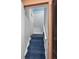 Carpeted staircase leading to a white door, providing access to upper levels at 2514 N Humboldt St, Denver, CO 80205