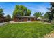 Large, well-maintained backyard featuring a lush lawn and mature trees with ample space at 6088 Quail Ct, Arvada, CO 80004
