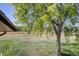 Image showcasing a grass yard and mature tree adjacent to the building at 14590 E 2Nd Ave # B309, Aurora, CO 80011