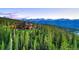Exterior elevation of a mountain home surrounded by evergreen trees at 300 Little Sallie Barber Trl, Breckenridge, CO 80424