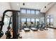 Bright gym featuring state-of-the-art fitness equipment and large windows with scenic views at 9162 Star Streak Cir, Littleton, CO 80125