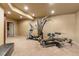 Basement gym space featuring various fitness equipment, perfect for staying active at home at 19281 E Hinsdale Ln, Centennial, CO 80016