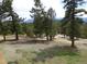 Spacious backyard with mature trees and mountain views at 13012 S Wamblee Valley Rd, Conifer, CO 80433
