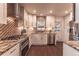 Spacious kitchen featuring stainless steel appliances, granite countertops, mosaic backsplash, and wooden floors at 537 N Logan St, Denver, CO 80203