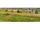 Community park with play area and green space at 301 Amethyst Way, Superior, CO 80027