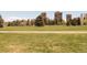 Expansive green lawn at Cheesman Park, surrounded by mature trees and city skyline views, offering a serene escape at 1265 Race St # 408, Denver, CO 80206