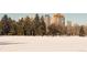 Scenic view of city buildings and trees, across a wide snowy field at 1265 Race St # 408, Denver, CO 80206