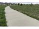 Concrete walking path through the community with green grass on both sides at 6711 Fraser Cir, Frederick, CO 80530