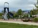 Community playground featuring swings, slide, and climbing apparatus in a green space at 6711 Fraser Cir, Frederick, CO 80530