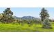 Scenic outdoor view with mature trees, lush green grass, and a mountain backdrop at 695 Manhattan Dr # 109, Boulder, CO 80303
