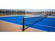 Well-maintained tennis courts, perfect for active residents and community sports at 5875 Raleigh Cir, Castle Rock, CO 80104