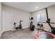 Home gym featuring exercise machines, weights, and plenty of space for fitness activities at 5290 Silver Hare Ct, Castle Rock, CO 80104