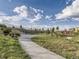 Community park with terraced seating and grassy areas at 5290 Silver Hare Ct, Castle Rock, CO 80104